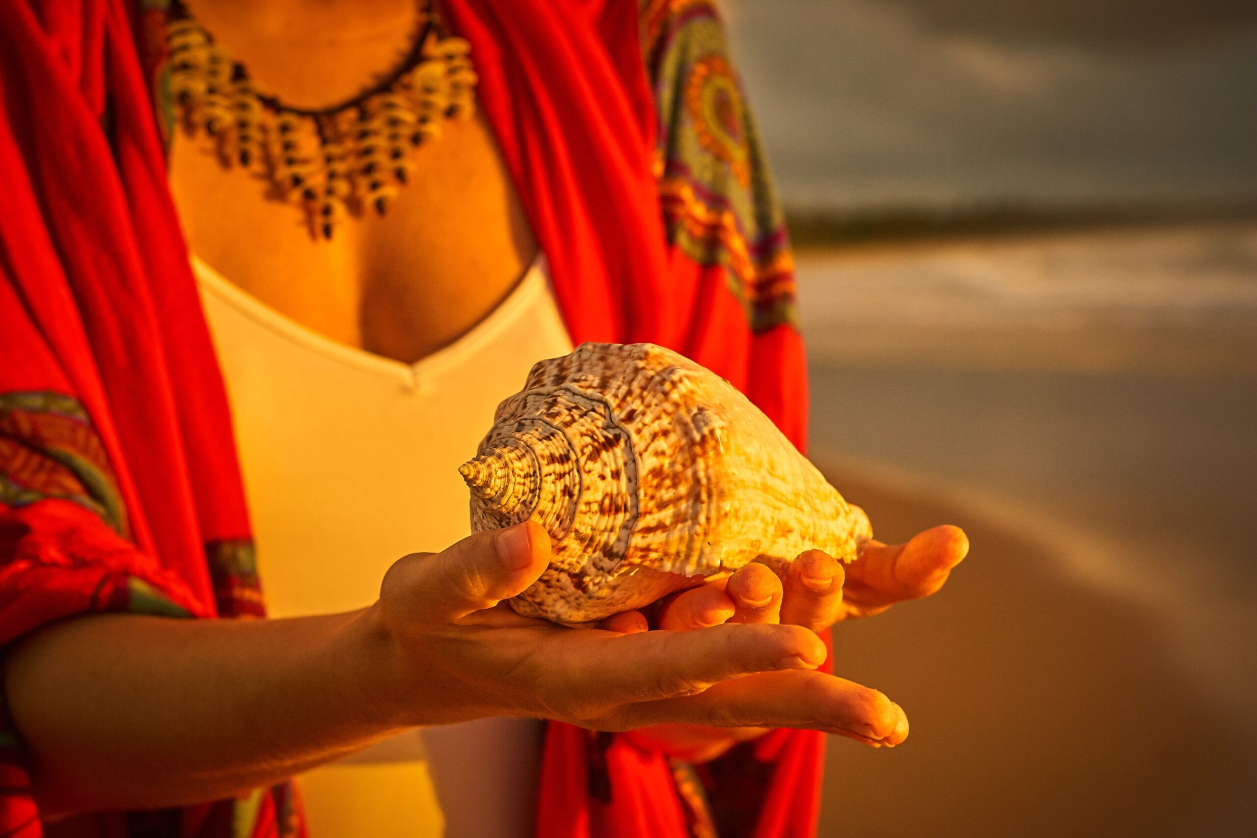 Lomi Lomi Massage Kurs Aschaffenburg 4 Muschel in der Hand einer Frau am Strand